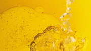 Bio oil production_180x101.jpg
