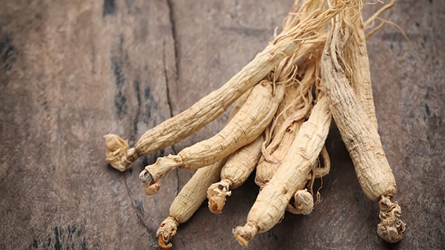 ginseng extract powders-smaller