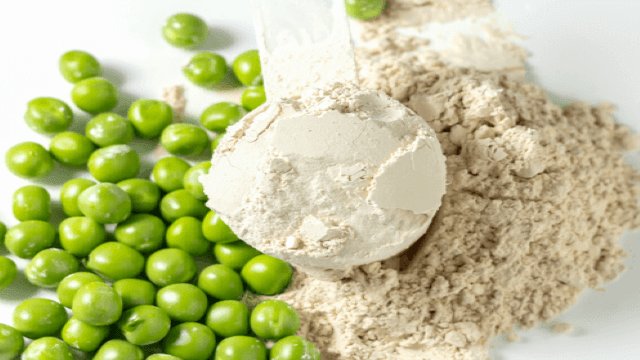 alternativeproteins peaprotein