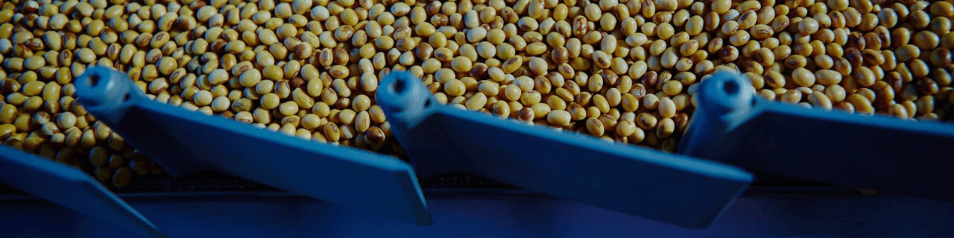 Food Production Banner 1920 x 480
