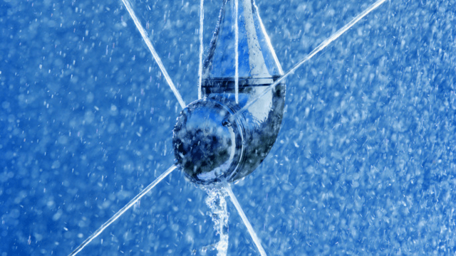 Pet Food - Cleaning 640 x 360