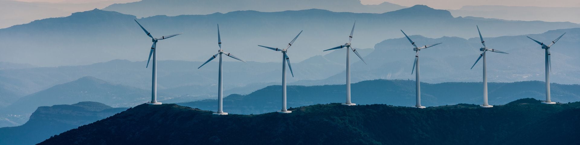 Sustainability Report 1920 x 480