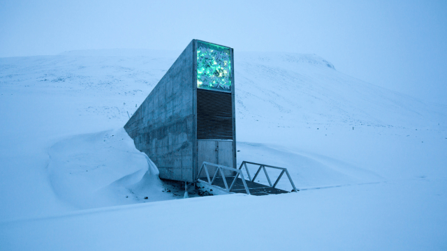 World seed bank