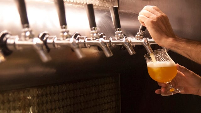 A bartender fills a glass with draft beer from a row of taps at a bar, showcasing fresh craft beer service