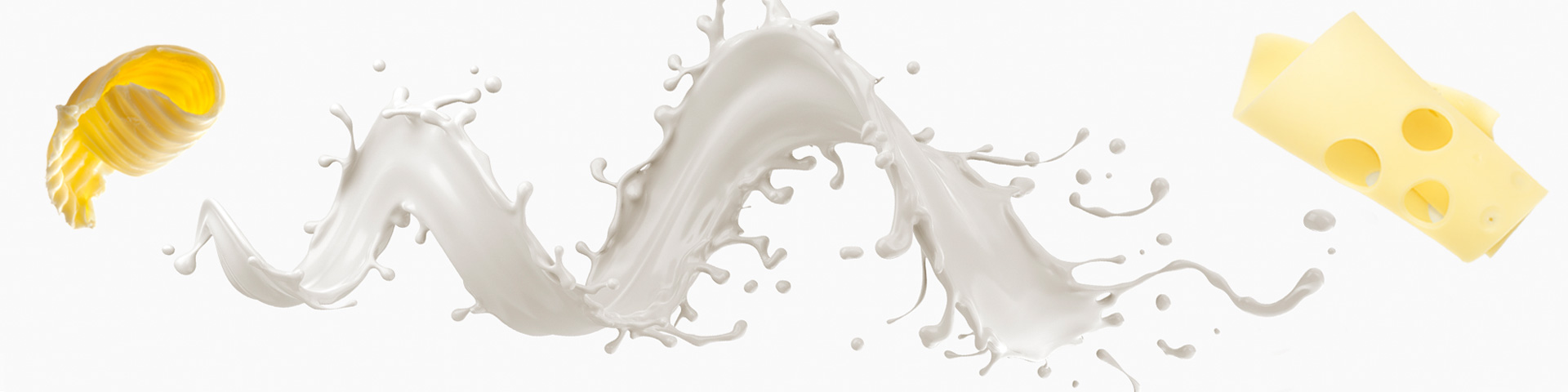 Dairy-hero-banner
