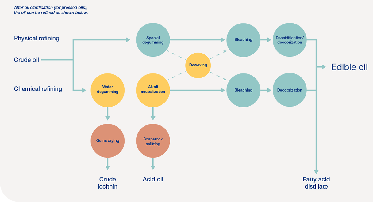 Seed-and-palm-oil_140121.png