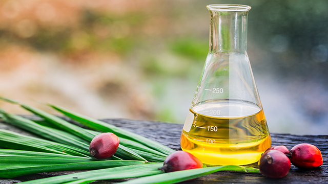 Palm oil bottle_640x360.jpg